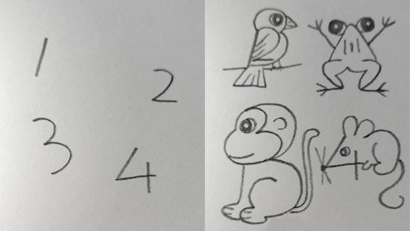 Рисование животных из цифр