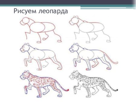 Поэтапное рисование карандашом