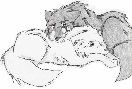 Зарисовки животных