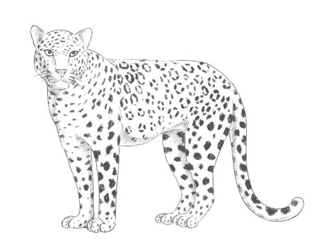 Рисунки маркером черным