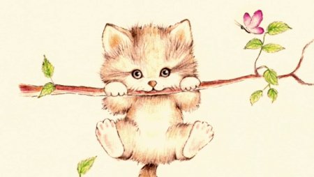 Карандашом цветы и животные