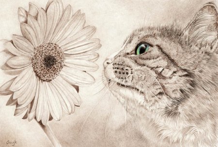 Необычные рисунки легко