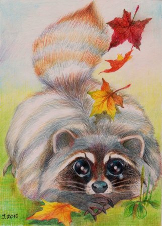 Лиса цветными карандашами