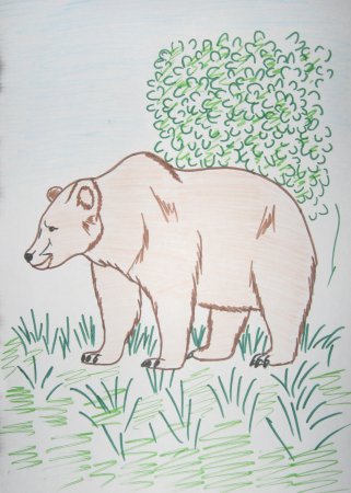 Детские рисунки медведя