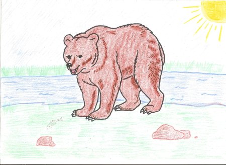 Рисование бурый медведь
