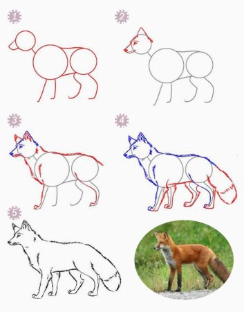 Как нарисовать лису