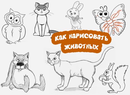 Рисунки домашних животных для срисовки