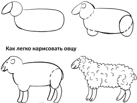 Овца рисунок для детей карандашом