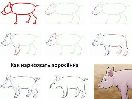 Поэтапное рисование карандашом