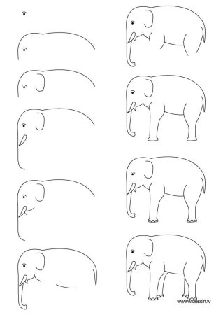 Рисование животных для детей