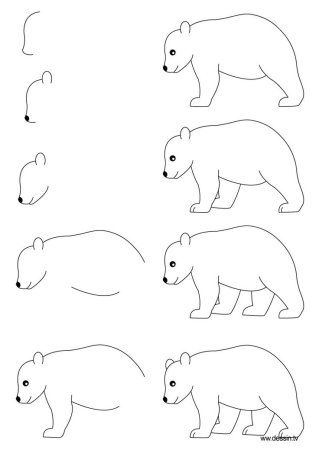 Белка сбоку рисунок