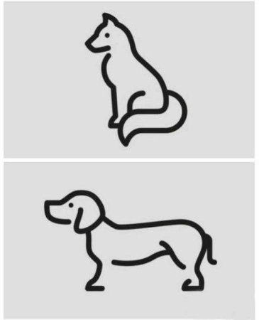 Срисовывать животных легко