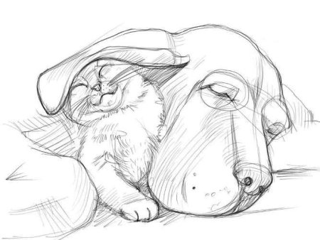 Красивые рисунки карандашом