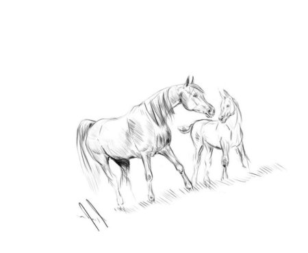 Рисунки карандашом природа и животные