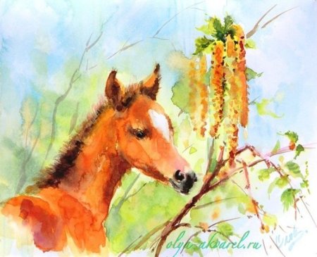 Лошадь акварелью для начинающих