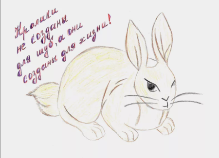 Рисунок на тему берегите животных