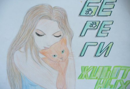 Рисунок на тему бездомные животные