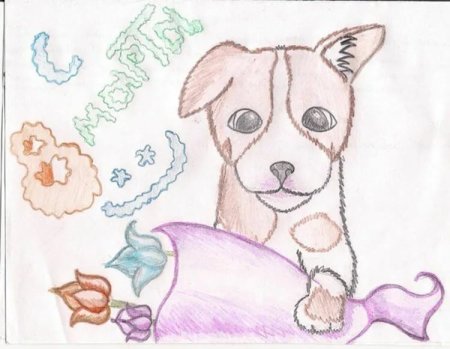 Рисунок на тему заповедник