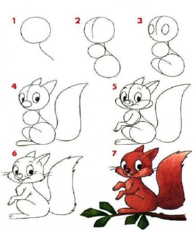 Рисунок белки карандашом