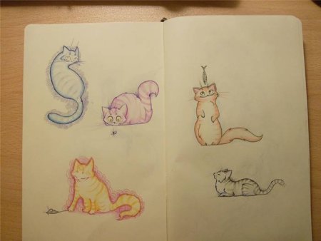 Рисунки для скетчбука лёгкие котики