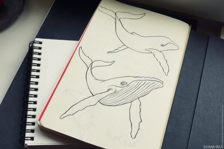 Скетчбук для рисования легко