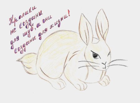 Плакат береги животных