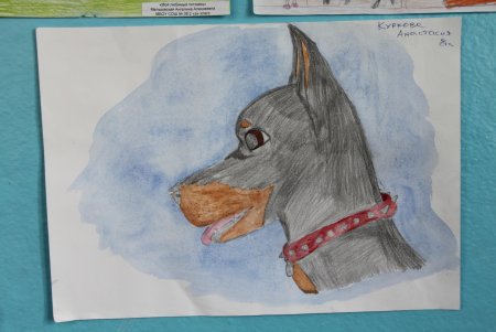 Конкурс мое любимое животное