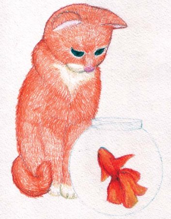 Кошка легко карандашом цветным