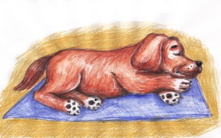 Детские рисунки животных