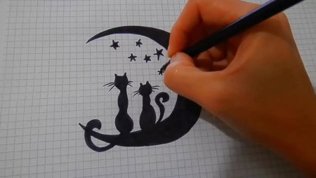 Рисунки ручкой легкие и красивые