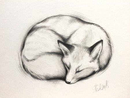 Рисунки для срисовки