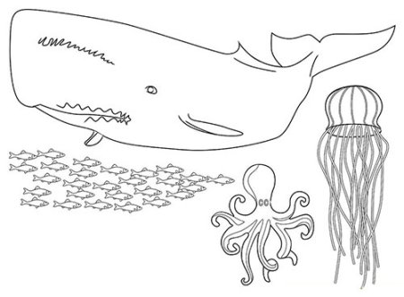 Морские обитатели карандашом