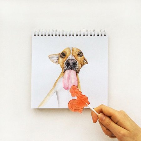 Креативные рисунки собак