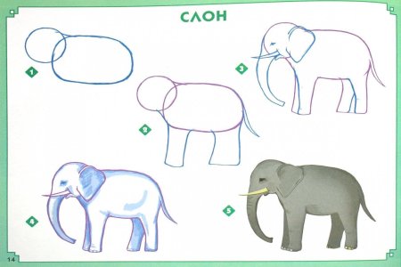 Рисунки животных