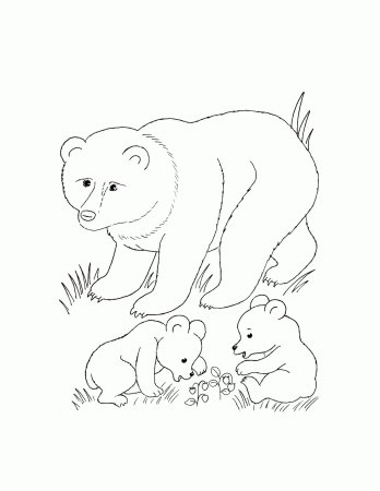 Дикие животные раскраска для детей