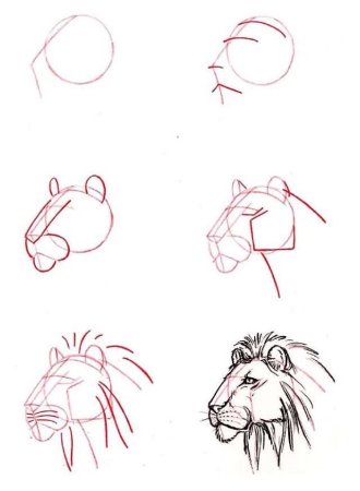 Поэтапное рисование