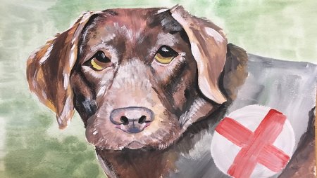 Служебная собака санитар