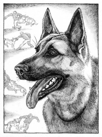 Рисунок ВОВ