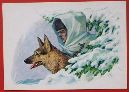 Немецкая овчарка карандашом