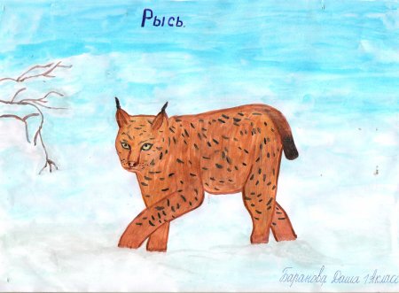 Животные красной книги детские рисунки