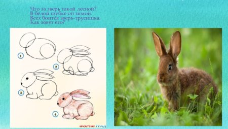 Животные в лесу 2 класс изо