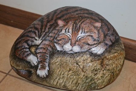 Котики на камнях