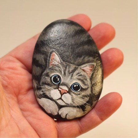 Котики на камнях