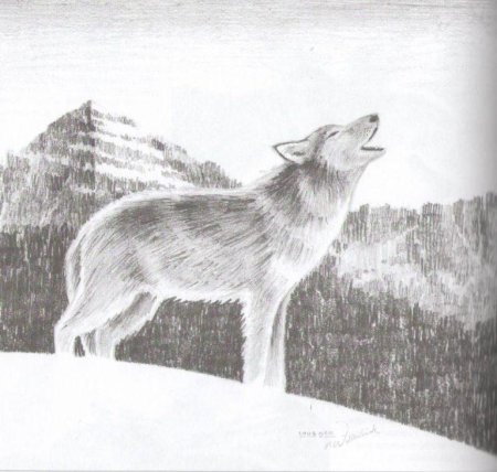 Пейзаж карандашом животные