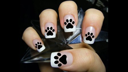 Кошачьи лапки на ногтях