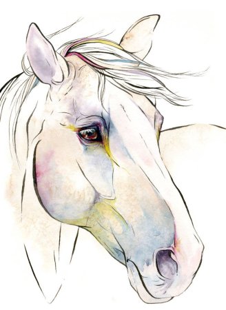 Лошадь акварельными карандашами