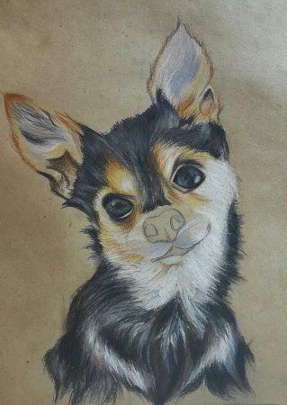 Рисунки акварельными карандашами