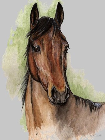 Лошадь акварелью