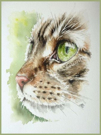 Животные акварелью