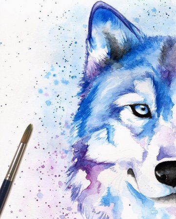 Волк акварелью